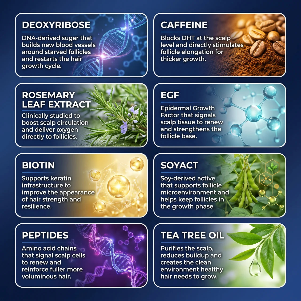 Deoxyribose Scalp Serum